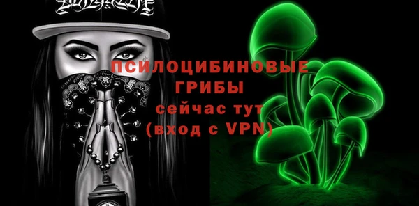 марки lsd Абаза